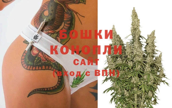 jwh Гусев