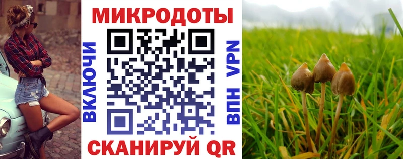 наркота  Усть-Джегута  Псилоцибиновые грибы прущие грибы 