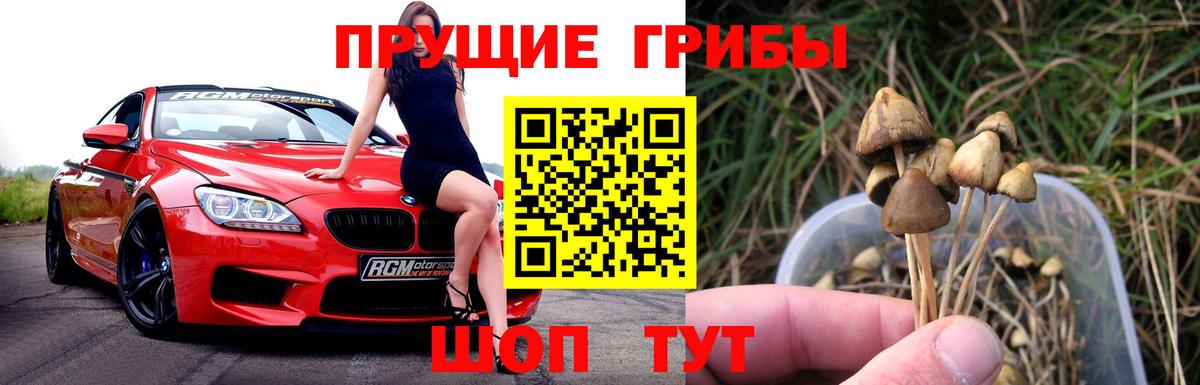 Галлюциногенные грибы Magic Shrooms Усть-Джегута